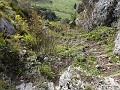 013_Wildhauser Schafberg_2020